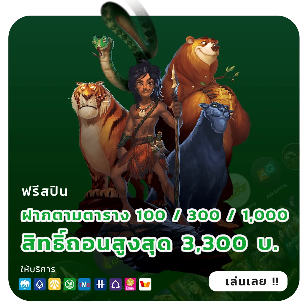 เว็บใหม่ kuma bet